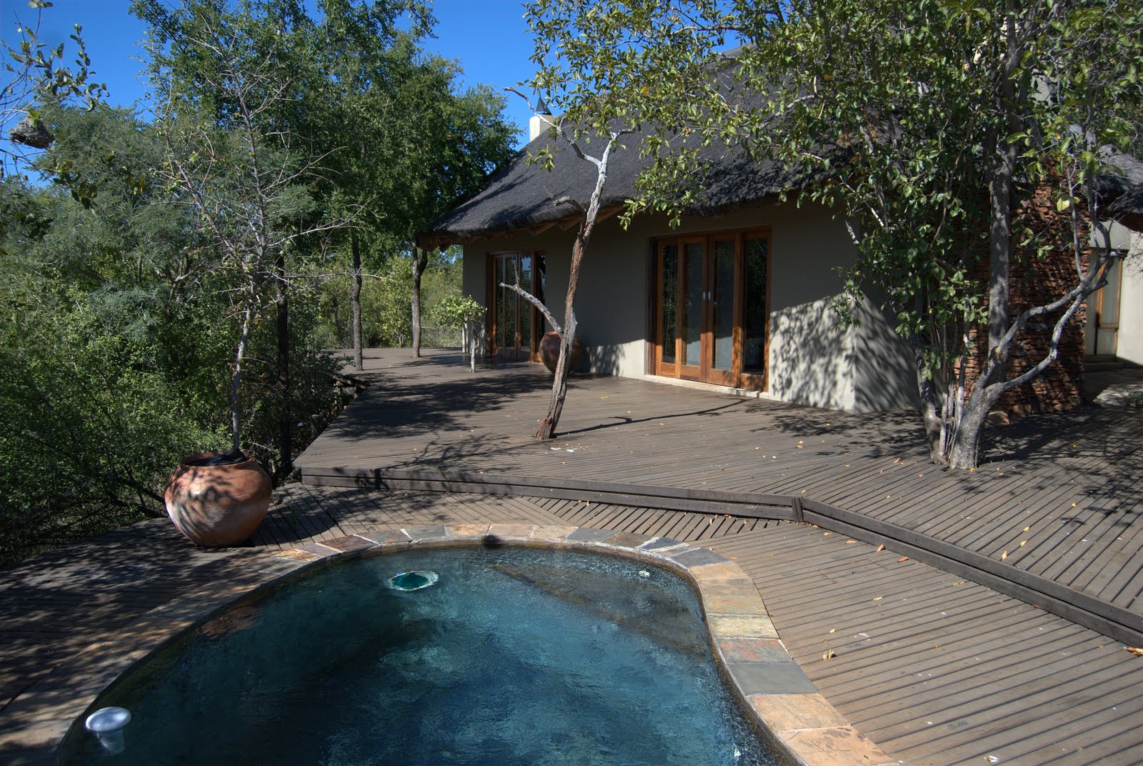 Family Suite and pool - Etali Safari Lodge - Madikwe Game Reserve - Madikwe Reservations